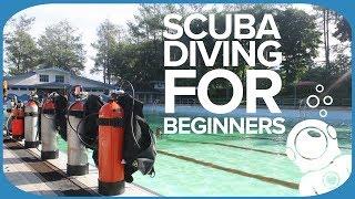 Scuba Gear For Beginners