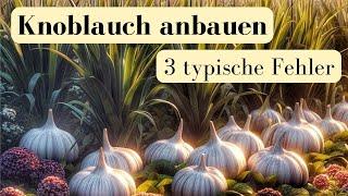 3 typische Fehler, beim Anbau von Knoblauch!