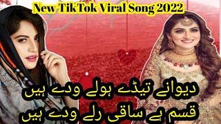 Dewany tedy holy Wady hain|| Kasam hy saqi ruly Wady hain|| New saraiki tiktok viral song 2022