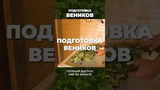 Рассказываем все секреты хорошего парения в новом ролике!  #баня #банябочка #банныйвеник #веник