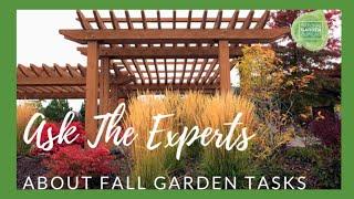 Fall Garden Tasks: Experts Reveal The Must-do Tips For A Thriving Garden Now & in the Spring