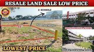 Low Budget Plots For Sale in Chennai - Guduvanchery | #guduvancheryplots #chennaiplots #landsale