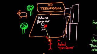 Adverse Possession 1