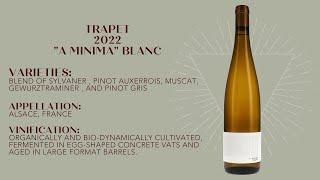 WINECULT Bottle Breakdown - Trapet 2022 "A Minima" Blanc