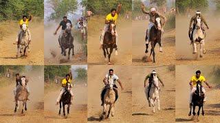  LIVE -HORSE RACE -JODHAN - LUDHIANA #horseracing #marwarihorselover