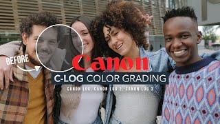 C-Log Color Grading - Easy Techniques (Including FREE) - Premiere Pro and DaVinci Resolve