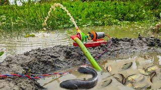 Fishing Exciting Science Project Using Mini Water Pump - Water Pump Fishing From Field