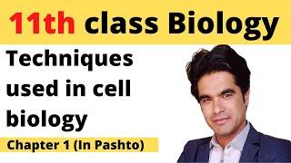 11th class biology || Techniques used in cell biology, cha 1, pashto | Home of biology