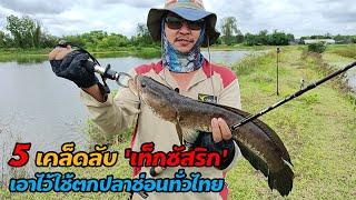 5 เคล็ดลับ 'เท็กซัสริก' ของแมวบ้า เอาไว้ใช้ตกปลาช่อนทั่วไทย