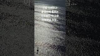 #김민기#아침햇살#송도바다아침#바다의아침