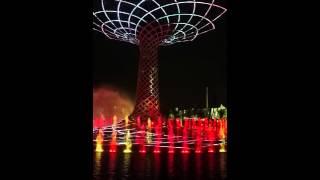 L'ALBERO DELLA VITA si accende per dare emozioni!- EXPO 2015 MILANO