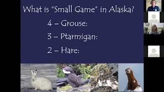 Alaskans Afield Small Game Hunting for New Hunters 092320