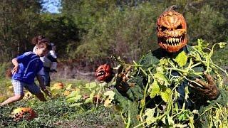 Pumpkin Man Surprise: Hilarious Pumpkin Patch Reactions!