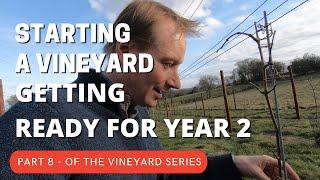 Starting a Vineyard PART8 - Getting ready for Year 2 in Spring Time