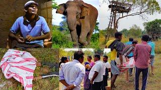 Eliphant Attack වන අලියකු  පහරදී මරා දැමූ සංවේදී කතාව නෙලුම්ගම-කලුබංඩාගේ  සජීවී දරශන #Sl tv1st-news-