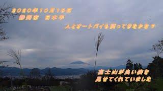 【由比のとら】No.11　静岡市日本平　何となくにぎわい。オートバイも戻ったかな？富士山も良き姿