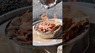 Molten Aluminium VS Leaves #molten #metal #satisfying #experiment