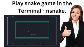 Play snake game in the Terminal - nsnake.