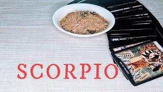 SCORPIO - This is Your Moment! Everything is Working Out in Your Favour! NOVEMBER 4th-10th