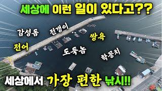 살다살다 세상에 이런일이 있다고?? 거제도 앞바다 방파제 주차하고 바로 세상에서 가장 편한 낚시!