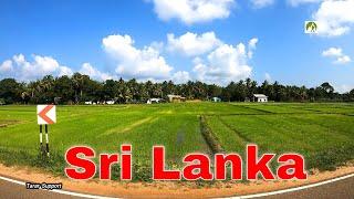 Sri Lanka Travel Trincomalee To Colombo Road Trip 2022