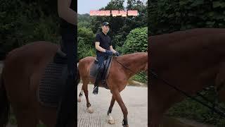 [DK Horse] 박채원 이강진 | 비가와도 빛나는 미모 | 지금! 에이스승마랜드 | 승마 마장마술 | YU 당신이 주인공 | Horse Riding