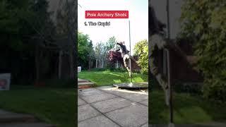 Pole Archery Shots