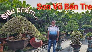 Siêu phẩm linh sam trình làng tại vườn Bonsai Sơn Võ ở Bến Tre