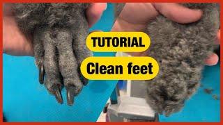 Clean feet step by step TUTORIAL