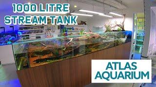 1000 Litre Stream Tank Atlas Aquarium Brisbane