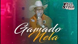 GAMADO NELA - VALL SYLVA (CLIPE OFICIAL)