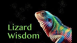 Lizard Wisdom in 3 Fables