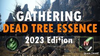 Black Desert Online Gathering Dead Tree Essence - 1 hour - 2023 Edition