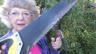 Helen in Ga. 86 Cleaning up limbs after Hurricane Helene