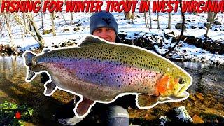 West Virginia Winter Trout Fishing