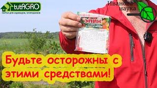 РАССАДА РАСТЕТ СРАЗУ ПОСЛЕ ВЫСАДКИ: Эпин, Циркон, Этамон, Старт-КМЕ, Аминосил, Аминорост, Мальтамин.