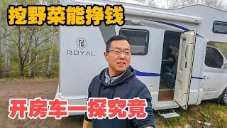 阿尔山挖野菜月入过万？大轩经不起诱惑开房车深入丛林一探究竟【大轩旅行日记】