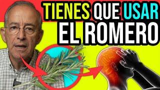 BENEFICIOS DEL ROMERO UNA PLANTA LLENA DE BONDADES SALUDABLES - Oswaldo Restrepo RSC