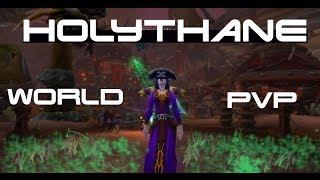 Wow 19 Twink paladin world pvp - Holythane