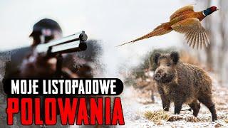 Moje listopadowe polowania.