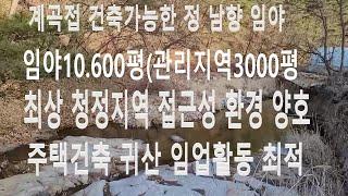 (매물3305)임야매매. 계곡접한 건축가능한 정남향 임야 관리지역3000여평포함 접근성 입지 환경 전원주택 귀산 임업으로 경재 활동 최적 장소