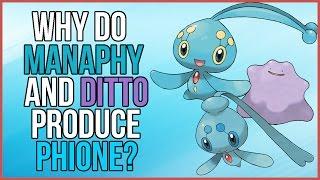 Pokemon Theory: Why Do Manaphy and Ditto Produce Phione?