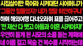 실화사연 시집살이만 시켰던 시모가 '그동안 힘들었지  내가 정말 미안하구나' 하며 해외 여행 다녀오라면 표를 끊어주는데 초대박 반전이    사이다 사연,  감동사연, 톡톡사연