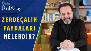 Zerdeçalın Faydaları Nelerdir ve Nasıl Kullanılır? | Bitkilerin Altını!