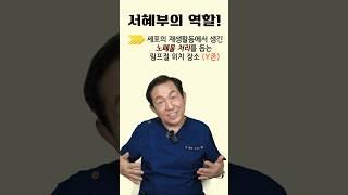 신체의 가장 큰 림프관을 청소하면 생기는 일!