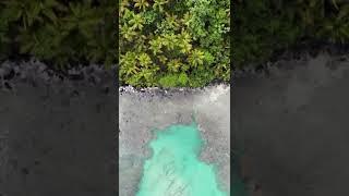 Ocean Waves | Relaxing | Meditation