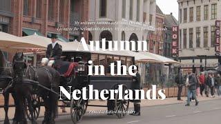 Netherlands Diaries / How to restore my concentration, spinach pasta, watching movies, autumn days