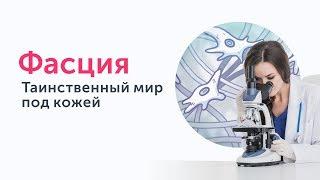 Фасция. Таинственный мир под кожей