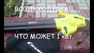 ВОЗДУХОДУВКА ЭЛЕКТРО, САДОВЫЙ ПЫЛЕСОС  Что может 1 кВт!!!