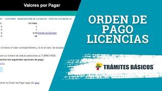 Generar orden de pago para licencias ANT Ecuador